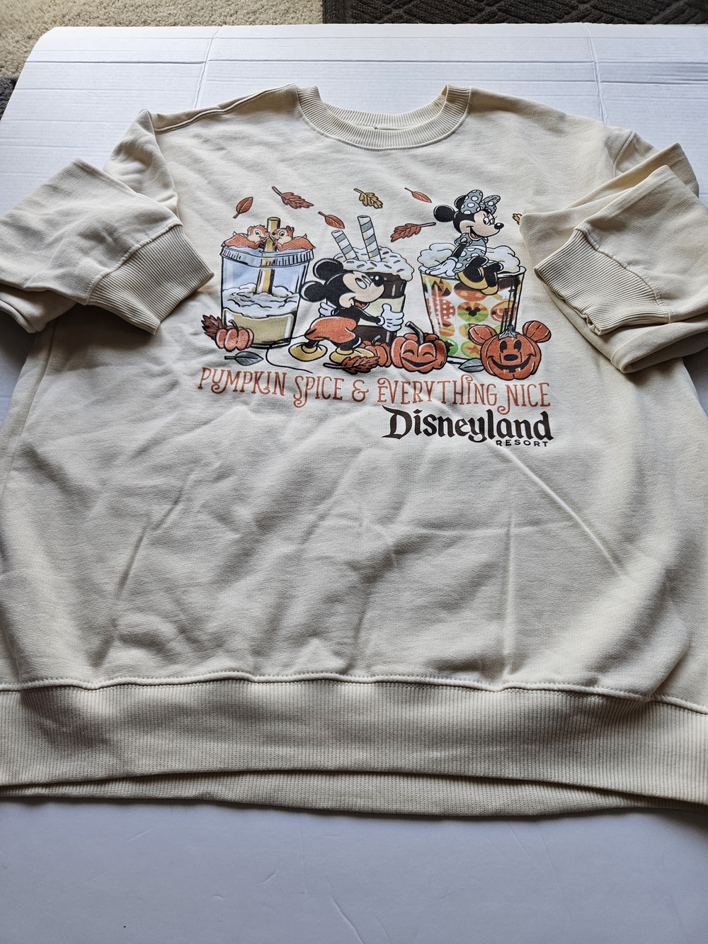 Disneyland crewneck sweatshirt features a festive "Pumpkin Spice &